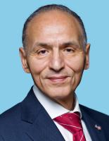 M. Sini