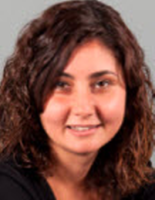 Y. Çegerek
