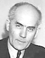 F.C.M. Wijffels